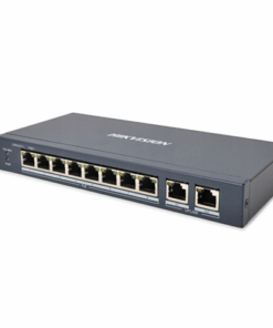 DS-3E0310P-E/M